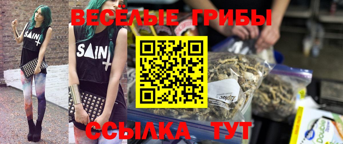 Фрязино  Псилоцибиновые грибы Psilocybe  Вход с VPN 