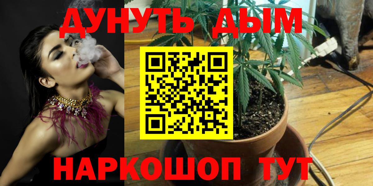 Бошки Шишки White Widow  Канабис план  Фрязино  Вход с VPN 